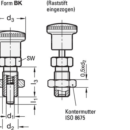 GANTER Rastbolzen GN 817 d1 10 mm d2 M 16 x 1,5 mm l1 12 mm ( 4601001396 )