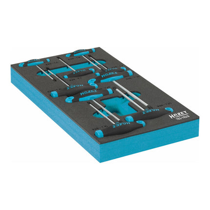 Módulo de herramientas HAZET 163-182/9 9 piezas ( 8000465896 )