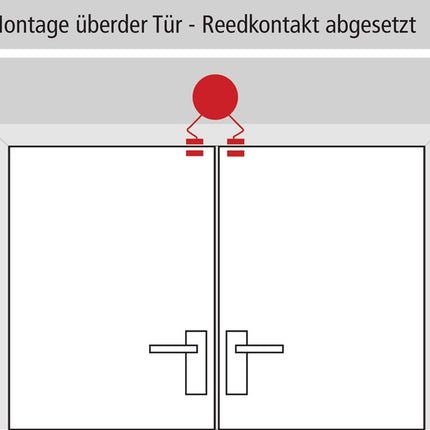 Dispositivo di monitoraggio GFS Dexcon ( 3000250890 ) senza preallarme rosso in plastica