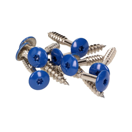 Tornillos para fachada Meisterling 5,5x35 mm 100 piezas (010030000161) 12 mm cabeza plana azul genciana con rosca parcial Torx Acero inoxidable V4A