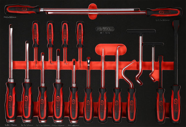 KS TOOLS Juego de destornilladores y ganchos en inserto de gomaespuma, 19 pzs ( 811.1019 )