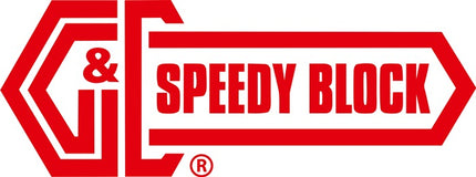 GANTER GN 851 acciaio ( 4601001912 ) tenditore per dispositivi di fissaggio